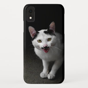 Funda Para iPhone XR Gato con bigote
