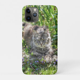 Funda Para iPhone 11 Pro Gato Durante Eclipse