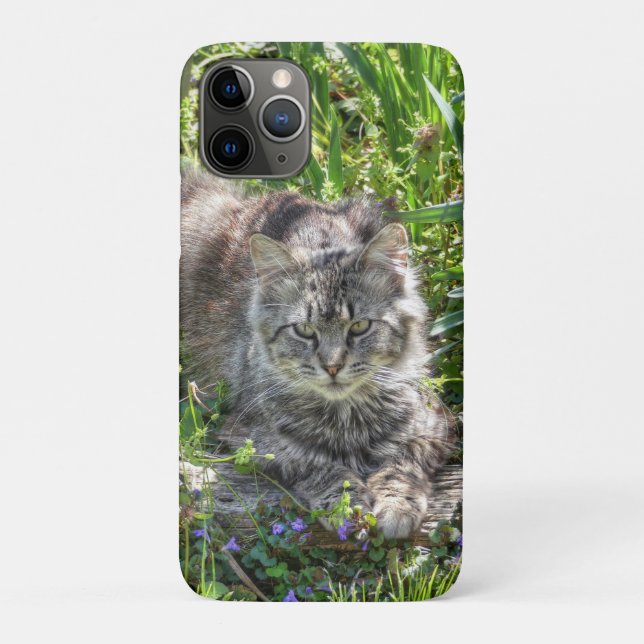 Funda De Case-Mate Para iPhone Gato Durante Eclipse (Reverso)