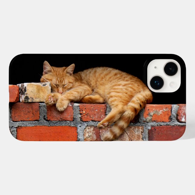 Funda De Case-Mate Para iPhone Gato durmiendo en la pared de ladrillo (Reverso  (Hotizontal))
