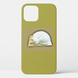 Funda Para iPhone 12 Pro Gato en caja de oro Funda-Mate Samsung Galaxy Fund
