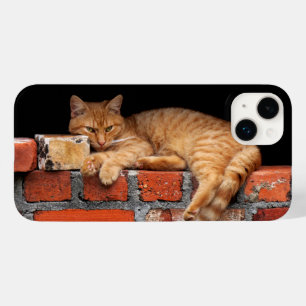 Funda Para iPhone 14 Plus De Case-Mate Gato en la pared de ladrillo