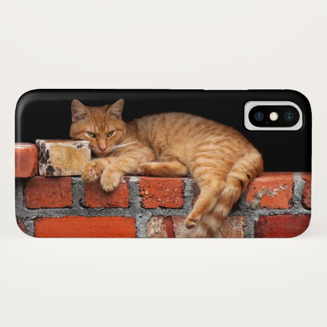 Funda De Case-Mate Para iPhone Gato en la pared de ladrillo (Reverso (horizontal))