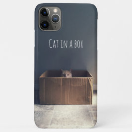 Funda Para iPhone 11 Pro Max Gato en una caja. El maestro del gato Zen.
