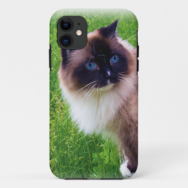 Funda De Case-Mate Para iPhone Gato hermoso de Ragdoll (Reverso)