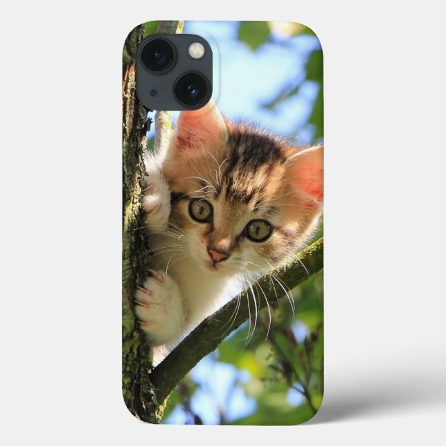 Funda De Case-Mate Para iPhone Gato, Naturaleza, Gatito (Reverso)