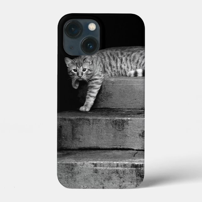 Funda De Case-Mate Para iPhone Gato retrógrado en escaleras (Reverso )