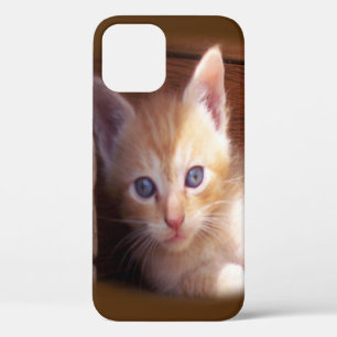 Funda Para iPhone 12 Gatos