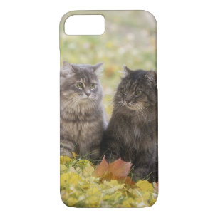 Funda Para iPhone 8/7 Gatos