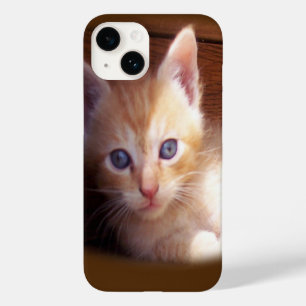 Funda Para iPhone 14 De Case-Mate Gatos