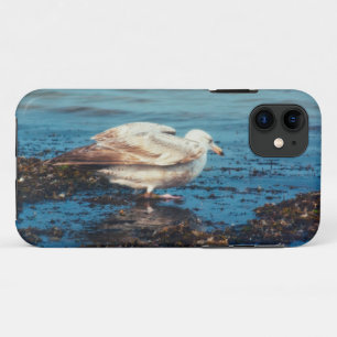 Funda Para iPhone 11 Gaviota de arenque P1046