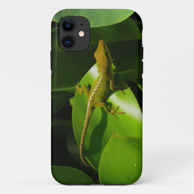 Funda De Case-Mate Para iPhone Gecko (Reverso)