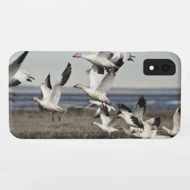 Funda De Case-Mate Para iPhone Geese de nieve voladora (Reverso (horizontal))
