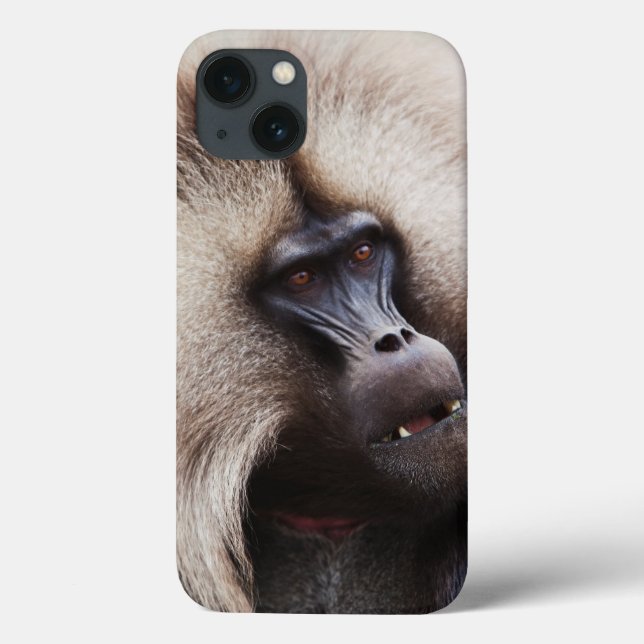 Funda De Case-Mate Para iPhone Gelada Baboon, Etiopía (Reverso)