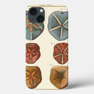 Funda Para iPhone 13 Gemas de los dólares de arena