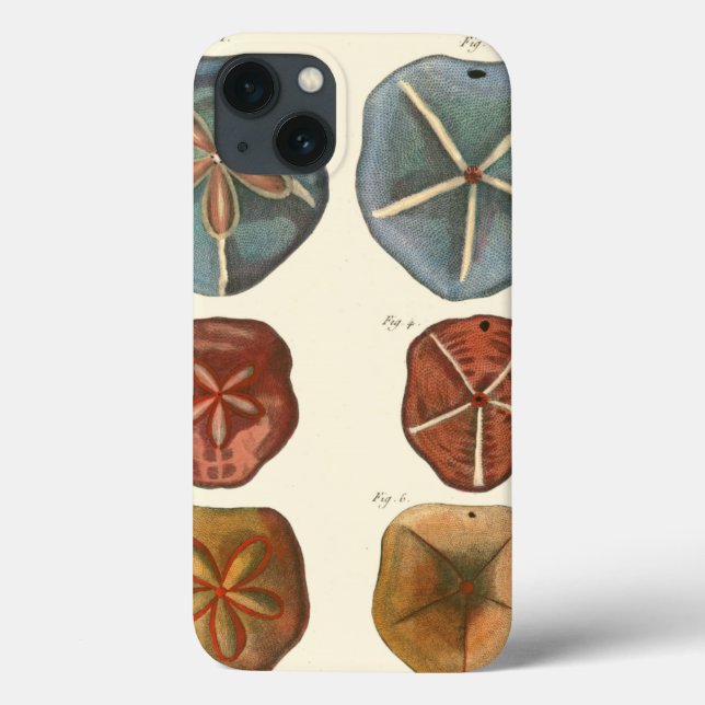 Funda De Case-Mate Para iPhone Gemas de los dólares de arena (Reverso)