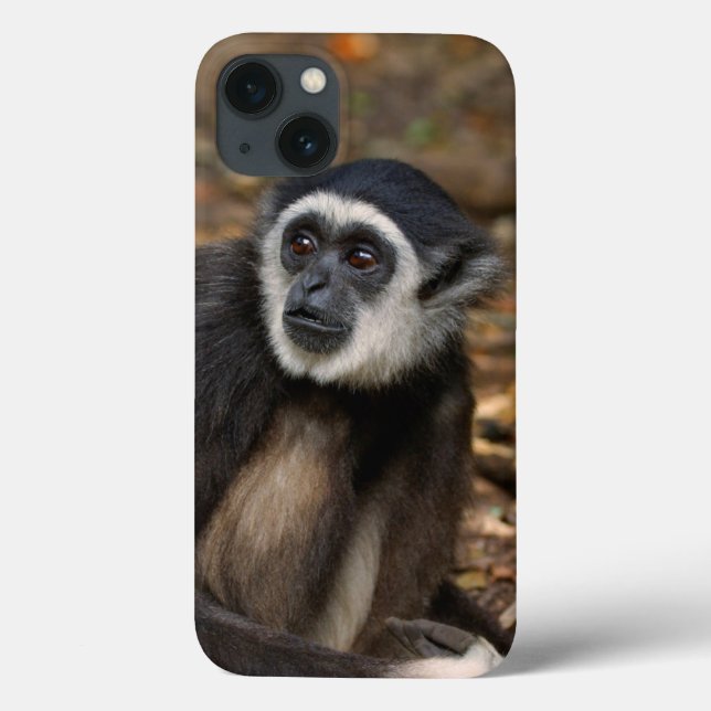 Funda De Case-Mate Para iPhone Gibbon Blanco-Dado (lar) del Hylobates, Monkeyland (Reverso)