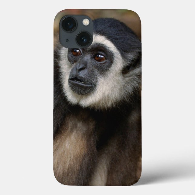 Funda De Case-Mate Para iPhone Gibbon Blanco-Dado (lar) del Hylobates, Monkeyland (Reverso)