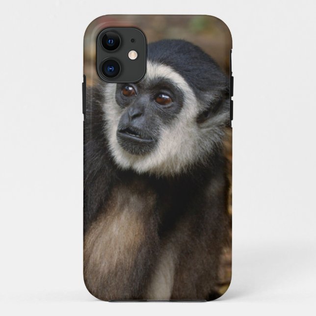 Funda De Case-Mate Para iPhone Gibbon de manos blancas (Hylobates Lar), Monkeylan (Reverso)