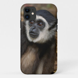 Funda Para iPhone 11 Gibón de manos blancas (Hylobates Lar), Monkeyland