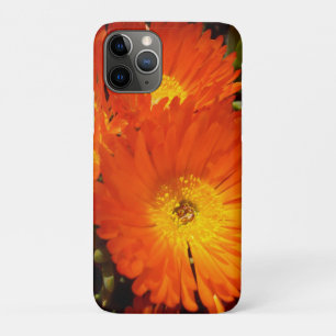 Funda Para iPhone 11 Pro Gigante Naranja Daisies,