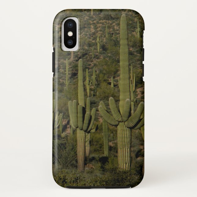 Funda De Case-Mate Para iPhone Gigante Saguaro Cactus Bosque Sonoran Desierto Ari (Reverso)