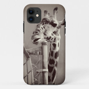 title_seo2 Giraffe Fotografía - Estilo de época