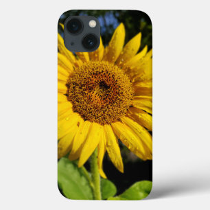 Funda Para iPhone 13 Girasol