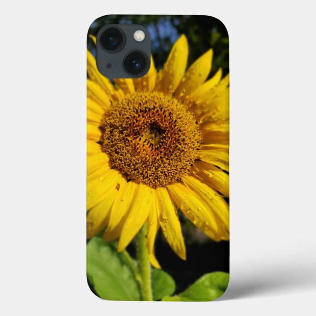 Funda De Case-Mate Para iPhone Girasol (Reverso)