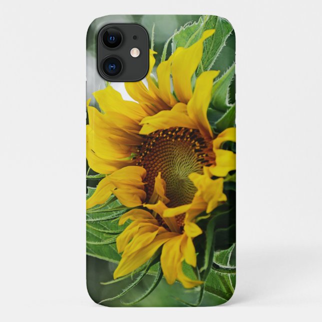 Funda De Case-Mate Para iPhone Girasol (Reverso)