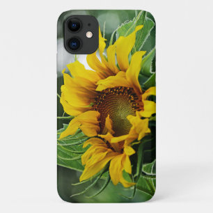 Funda Para iPhone 11 Girasol