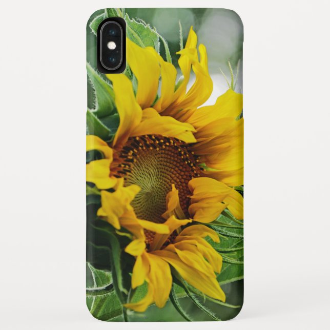 Funda De Case-Mate Para iPhone Girasol (Reverso)