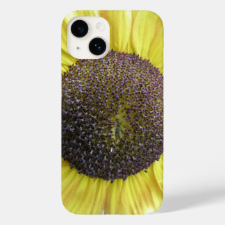 title_seo2 Girasol amarillo