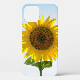 Funda Para iPhone 12 Girasol amarillo