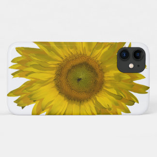 title_seo2 Girasol amarillo