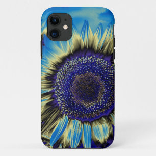 title_seo2 Girasol azul