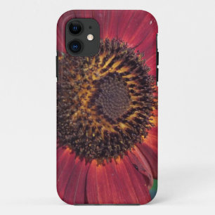Funda Para iPhone 11 Girasol rojo