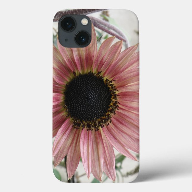 Funda De Case-Mate Para iPhone Girasol rosa pálido (Reverso)