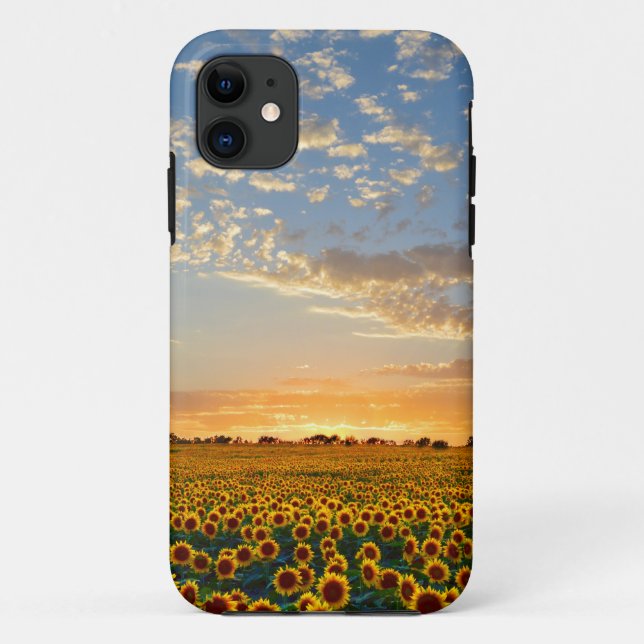 Funda De Case-Mate Para iPhone Girasoles en la puesta del sol (Reverso)