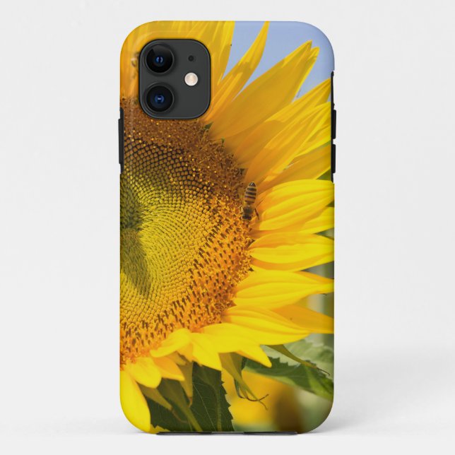 Funda De Case-Mate Para iPhone ¡Girasoles gloriosos! (Reverso)