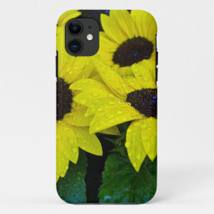 FUNDA PARA iPhone 11 GIRASOLES MAGNÍFICOS DEL JARDÍN