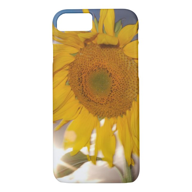 Funda De Case-Mate Para iPhone Giro híbrido soplando en el viento al anochecer (Reverso)