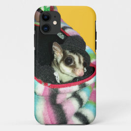 title_seo2 Glider azucarero usando un Gorra