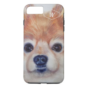 TITLE_SEO2 GOLDEN DULCE POMERANIANO
