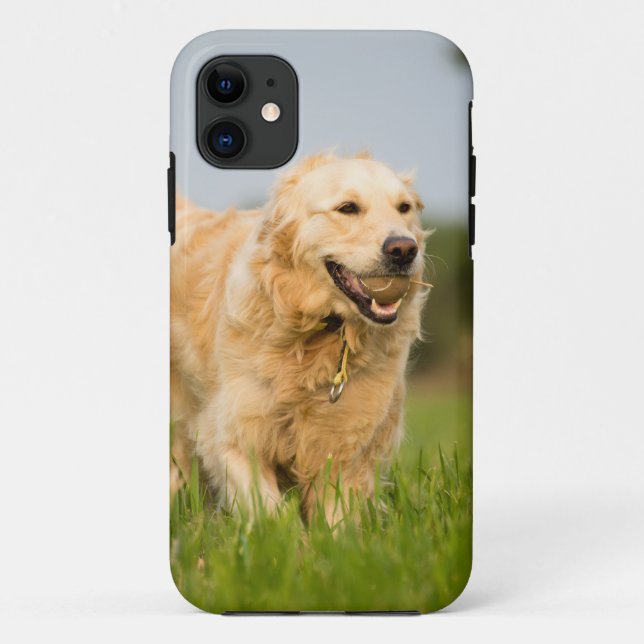 Funda De Case-Mate Para iPhone Golden Retriever (Reverso)