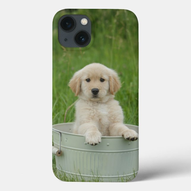 Funda De Case-Mate Para iPhone Golden Retriever In Wash Basil (Reverso)