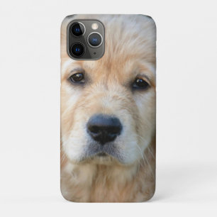 Funda Para iPhone 11 Pro Golden Retriever Puppy