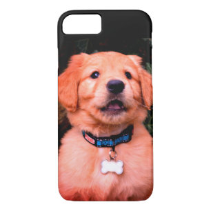 Funda Para iPhone 8/7 Golden Retriever Puppy