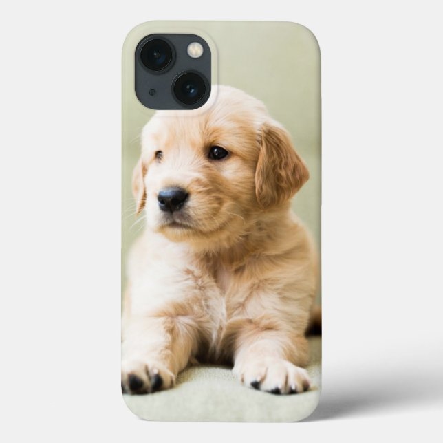 Funda De Case-Mate Para iPhone Golden Retriever Puppy on Couch (Reverso)