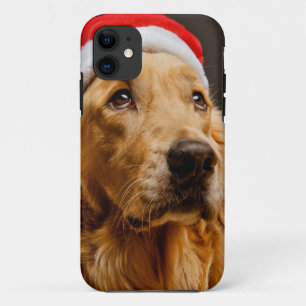 title_seo2 Golden retriever que presenta para su navidad